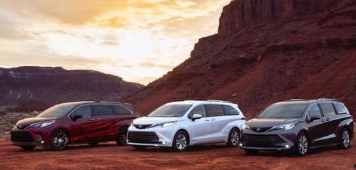 国产网,引领潮流，打造民族互联网新生态